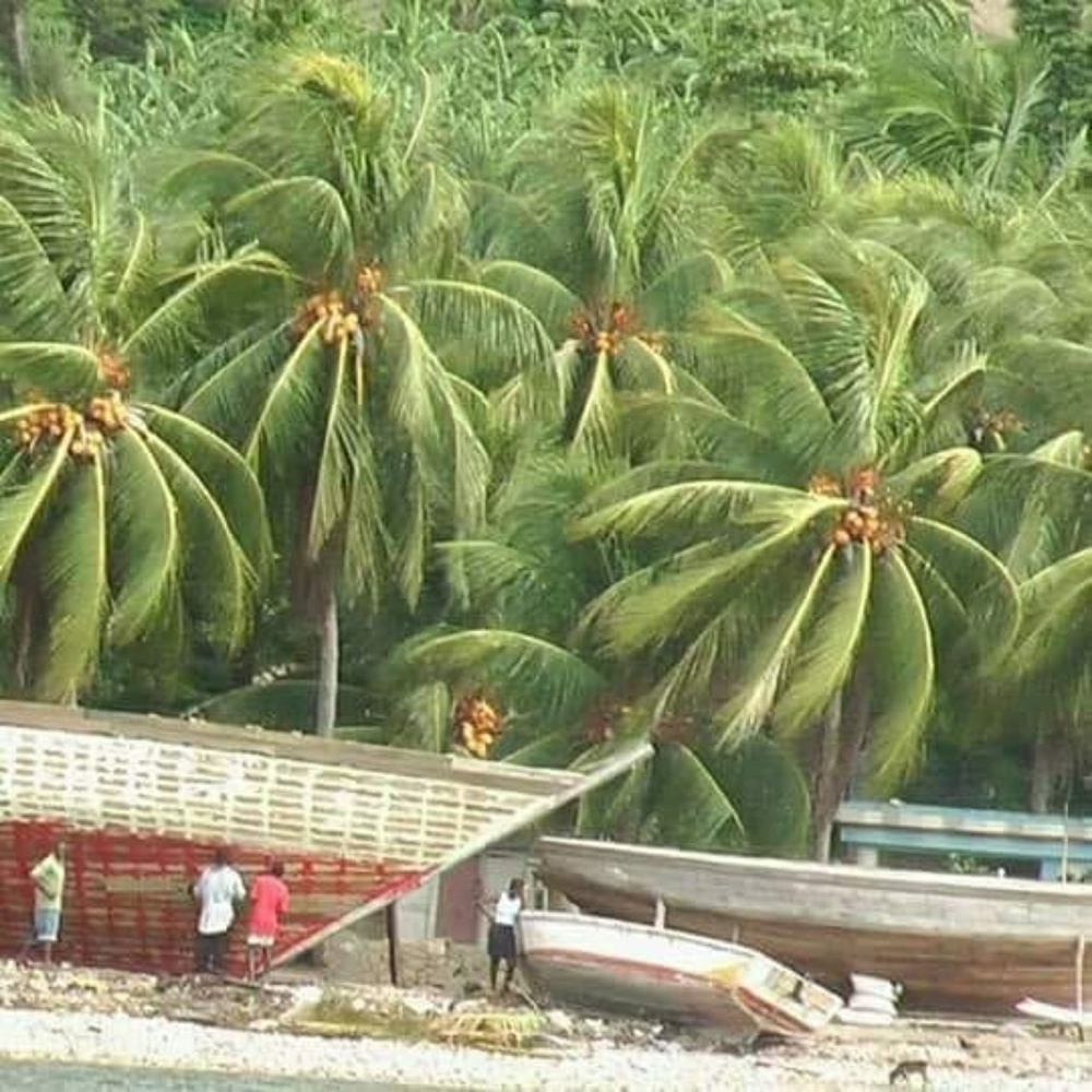 Meet your Posher, Rosie